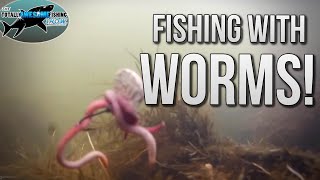 How to catch Fish with Worms  TAFishing [upl. by Osbourne527]