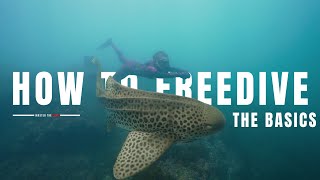 HOW TO FREEDIVE  The Basics Gear amp Techniques [upl. by Millford]