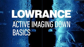 Lowrance  Active Imaging™ DownScan Basics [upl. by Laddy458]