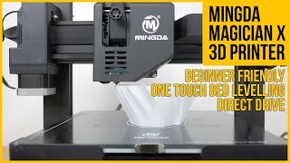 Mingda Magician X review  The perfect beginner 3D printer [upl. by Refotsirk]