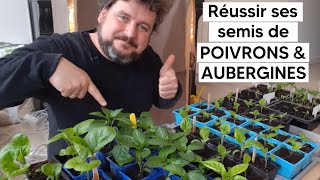 Comment réussir au mieux ses SEMIS de POIVRONS PIMENTS et AUBERGINES [upl. by Eahs]