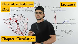 ECG Electrocardiogram fully explained  Chapter circulation  Video 8 [upl. by Rosabel962]