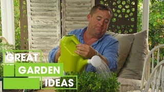 How to Propagate Buxus  Gardening  Great Home Ideas [upl. by Crockett]