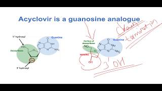 Mechanism of Action of Acyclovir [upl. by Phyl]