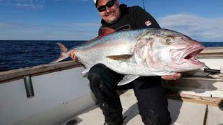 Angeln im Mittelmeer Auf Amberjack in der Kroatischen Adria [upl. by Cleasta]