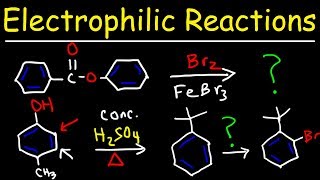 Electrophilic Aromatic Substitution Reactions Made Easy [upl. by Emyaj335]