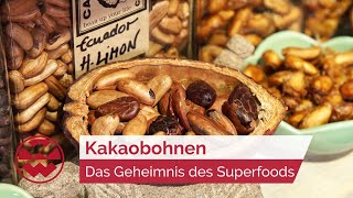 Kakaobohnen Das Geheimnis des Superfoods  GenussMomente  Welt der Wunder [upl. by Ennahtur123]