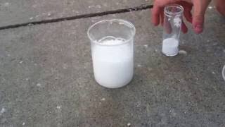 Citric acid  baking soda  water reaction [upl. by Accire]