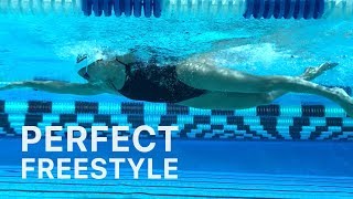 How To Swim Freestyle With Perfect Technique [upl. by Jordan]