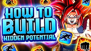 WHAT IS THE BEST WAY TO BUILD SSJ4 GOGETA amp GOD GOKU VEGETA Hidden Potentials  DBZ Dokkan Battle [upl. by Vincelette]