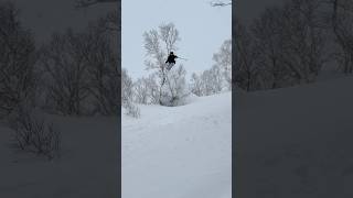 skiing powder in Japan [upl. by Aridaj]