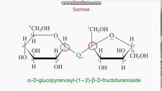 Identifying anomeric carbons in sugars [upl. by Eeruhs595]