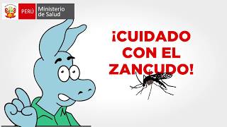 Cuidado con el zancudo  Conoce al vector [upl. by Eb289]