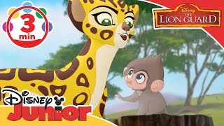 The Lion Guard  Baboon Song  Disney Junior UK [upl. by Azial987]