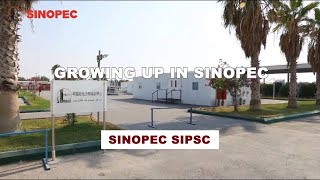 Growing up in Sinopec [upl. by Ardelle258]