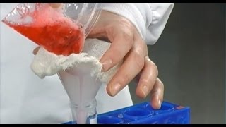 Strawberry DNA Extraction [upl. by Elohcim880]