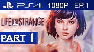 107 Life Is Strange Facts YOU Should Know 🤔  The Leaderboard [upl. by Fanchan]