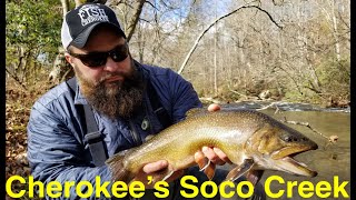 Trout Fishing Cherokees Soco Creek [upl. by Strader]