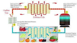 How Household Refrigerator Works  Animated Explanation [upl. by Geehan]