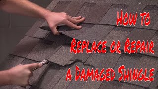 How to Replace or Repair a Damaged Shingle by RoofingIntelligencecom [upl. by Ahtnamas]