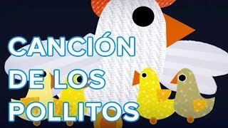 Los pollitos dicen pio pio pio canción infantil [upl. by Ailima]