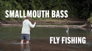 CREEK Fly Fishing for Smallmouth Bass  Top 5 TIPS [upl. by Innad]