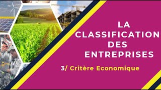 📌EOAE 1ère Bac Sc Eco  Lentreprise et son Environnement 15 👉 Classification Ese selon lactivité [upl. by Myrah]