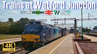 Trains at Watford Junction 17th August 2024 [upl. by Vala]