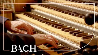 Bach  Concerto in D minor BWV 596  Van Doeselaar  Netherlands Bach Society [upl. by Enaerb565]