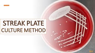 Streak plate culture method [upl. by Farman]