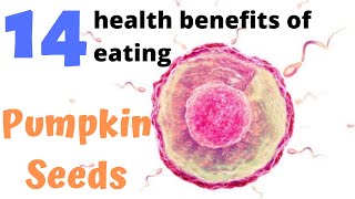 14 health benefits of eating pumpkin seeds daily [upl. by Eittod928]