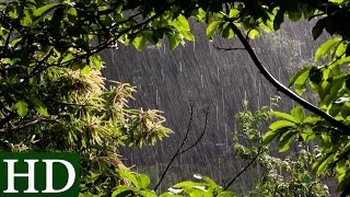 Lluvia HD  Sonido de Lluvia y Sonidos de la Naturaleza  Dormir [upl. by Eiliah474]