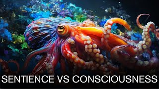 The Difference Between Consciousness and Sentience [upl. by Eyaj961]