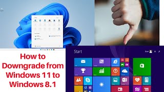 How to Downgrade from Windows 11 to Windows 81  How to rollback to Windows 8 from Windows 11 [upl. by Micheal]