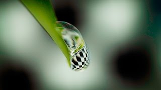 MACRO PHOTOGRAPHY TUTORIAL  5 Tips For Water Drop Refraction [upl. by Jonette]