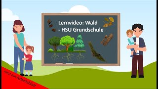 Lernvideo Wald  Nadelbäume🌲  HSU Grundschule [upl. by Assillam]