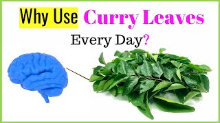 Benefits of Curry leaves Uses and Recipe Kari Patta [upl. by Napra]