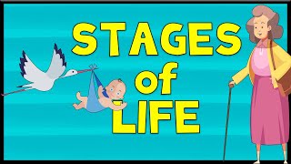 Stages of Life  Vocabulary  Minimal English [upl. by Oraneg941]