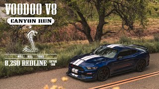 Ford GT350R Canyon Run  Magnificent Voodoo V8 Exhaust Note [upl. by Adniroc298]