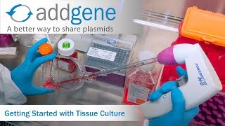 Getting Started with Tissue Culture [upl. by Novert]