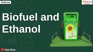 Biofuel and Ethanol  Class 10 Environmental Science  iKen [upl. by Aldo]