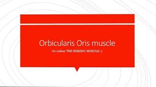 Orbicularis Oris  Simple and Easy [upl. by Keyte]