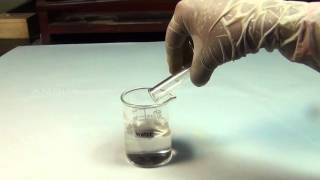 Tests for Alcohols  MeitY OLabs [upl. by Yesor135]