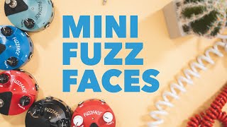 Why Dunlop Mini Fuzz Faces Are Awesome [upl. by Marylee200]