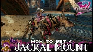 Guild Wars 2  How to get a Jackal Mount [upl. by Salita]