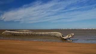 Serpent d’Océan  A Massive Metal Sea Serpent Skeleton on a Beach in France [upl. by Johnston]