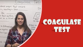 Coagulase Test [upl. by Crystal873]