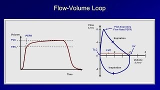 Pulmonary Function Tests PFT Lesson 2  Spirometry [upl. by Ahseikan]