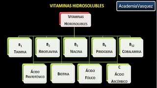 Vitaminas hidrosolubles Vitamina B1 o Tiamina [upl. by Havener]