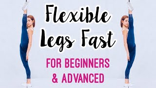 Get Flexible Legs Stretches for Leg amp Hip Flexibility [upl. by Mighell]